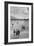School Children-Ansel Adams-Framed Premium Giclee Print