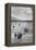 School Children-Ansel Adams-Framed Stretched Canvas