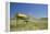 School Desk in Field, Michigan-Paul Souders-Framed Premier Image Canvas