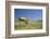 School Desk in Field, Michigan-Paul Souders-Framed Photographic Print