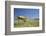 School Desk in Field, Michigan-Paul Souders-Framed Photographic Print