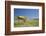 School Desk in Field, Michigan-Paul Souders-Framed Photographic Print