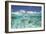 School of Fish, Submerged-null-Framed Photographic Print