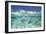 School of Fish, Submerged-null-Framed Photographic Print