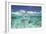 School of Fish, Submerged-null-Framed Photographic Print