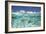 School of Fish, Submerged-null-Framed Photographic Print