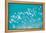 School of Fish, Undersea View-null-Framed Stretched Canvas