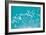 School of Fish, Undersea View-null-Framed Photographic Print