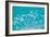 School of Fish, Undersea View-null-Framed Photographic Print