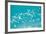 School of Fish, Undersea View-null-Framed Photographic Print