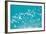 School of Fish, Undersea View-null-Framed Photographic Print