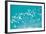 School of Fish, Undersea View-null-Framed Photographic Print