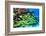 School of Fish-AndamanSE-Framed Photographic Print