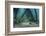 School of Grunt Fish Beneath a Pier on Turneffe Atoll, Belize-Stocktrek Images-Framed Photographic Print