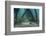 School of Grunt Fish Beneath a Pier on Turneffe Atoll, Belize-Stocktrek Images-Framed Photographic Print