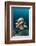 School of One-Spot Snapper-Reinhard Dirscherl-Framed Photographic Print