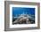 School of Sergeant Major Fish over Pristine Coral Reef, Jackson Reef, Off Sharm El Sheikh, Egypt-Mark Doherty-Framed Photographic Print