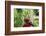 Schoolchild Embracing Tree Trunk and Looking Up, Bujumbura, Burundi-Anthony Asael-Framed Photographic Print