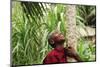 Schoolchild Embracing Tree Trunk and Looking Up, Bujumbura, Burundi-Anthony Asael-Mounted Photographic Print