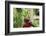 Schoolchild Embracing Tree Trunk and Looking Up, Bujumbura, Burundi-Anthony Asael-Framed Photographic Print