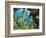 Schooling Fish Under Coral Ledge-Stephen Frink-Framed Photographic Print