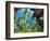 Schooling Fish Under Coral Ledge-Stephen Frink-Framed Photographic Print