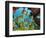 Schooling Fish Under Coral Ledge-Stephen Frink-Framed Photographic Print