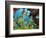 Schooling Fish Under Coral Ledge-Stephen Frink-Framed Photographic Print