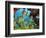 Schooling Fish Under Coral Ledge-Stephen Frink-Framed Photographic Print