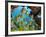 Schooling Fish Under Coral Ledge-Stephen Frink-Framed Photographic Print