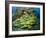 Schooling Sweetlip Fish Swim Past Coral Reef, Raja Ampat, Indonesia-Jones-Shimlock-Framed Photographic Print