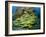 Schooling Sweetlip Fish Swim Past Coral Reef, Raja Ampat, Indonesia-Jones-Shimlock-Framed Photographic Print