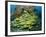 Schooling Sweetlip Fish Swim Past Coral Reef, Raja Ampat, Indonesia-Jones-Shimlock-Framed Photographic Print