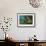 Schooling Sweetlips with Glassfish-Jones-Shimlock-Framed Giclee Print displayed on a wall