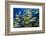 Schooling Yellow-Striped Goatfish (Mulloidichthys Vanicolensis). Great Barrier Reef-Louise Murray-Framed Photographic Print