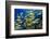 Schooling Yellow-Striped Goatfish (Mulloidichthys Vanicolensis). Great Barrier Reef-Louise Murray-Framed Photographic Print