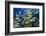 Schooling Yellow-Striped Goatfish (Mulloidichthys Vanicolensis). Great Barrier Reef-Louise Murray-Framed Photographic Print