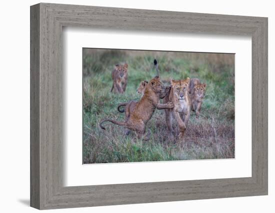 Schools Out - Let's Play-Jeffrey C. Sink-Framed Photographic Print