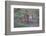 Schools Out - Let's Play-Jeffrey C. Sink-Framed Photographic Print