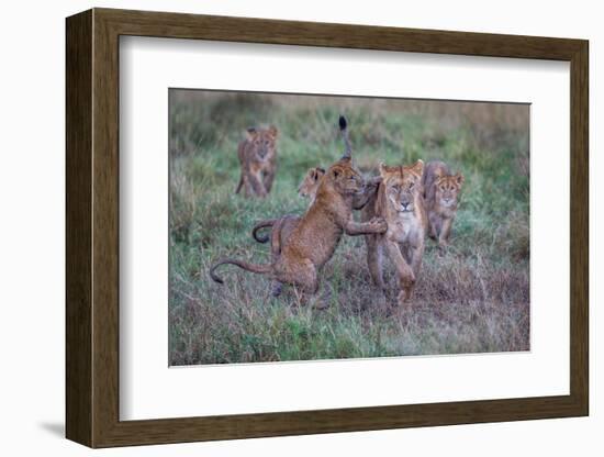 Schools Out - Let's Play-Jeffrey C. Sink-Framed Photographic Print