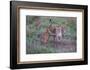Schools Out - Let's Play-Jeffrey C. Sink-Framed Photographic Print