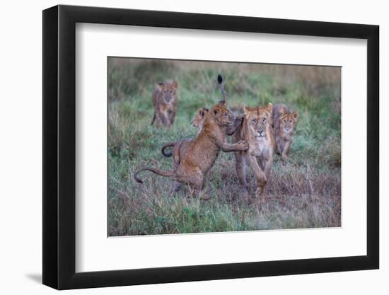 Schools Out - Let's Play-Jeffrey C. Sink-Framed Photographic Print