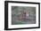 Schools Out - Let's Play-Jeffrey C. Sink-Framed Photographic Print