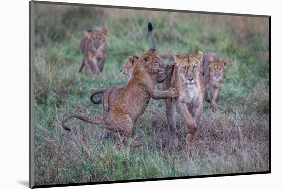 Schools Out - Let's Play-Jeffrey C. Sink-Mounted Photographic Print