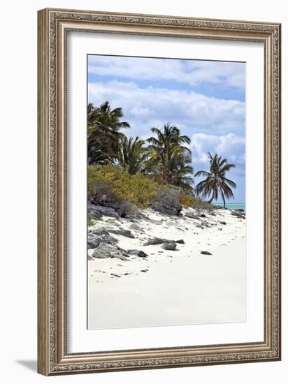 Schooner Cay Coastline-Larry Malvin-Framed Photographic Print