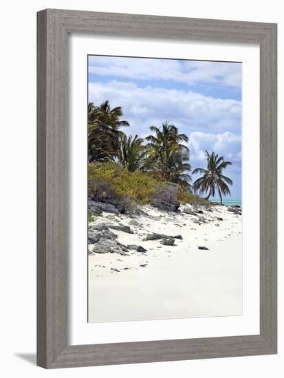 Schooner Cay Coastline-Larry Malvin-Framed Photographic Print