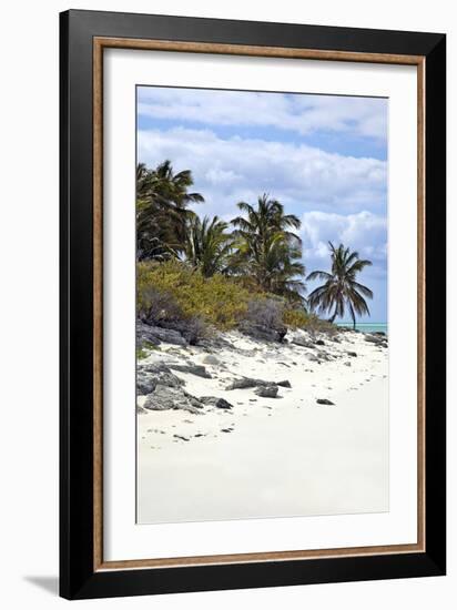 Schooner Cay Coastline-Larry Malvin-Framed Photographic Print