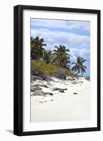 Schooner Cay Coastline-Larry Malvin-Framed Photographic Print