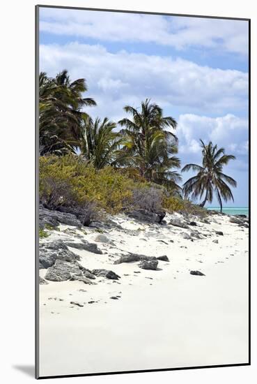 Schooner Cay Coastline-Larry Malvin-Mounted Photographic Print