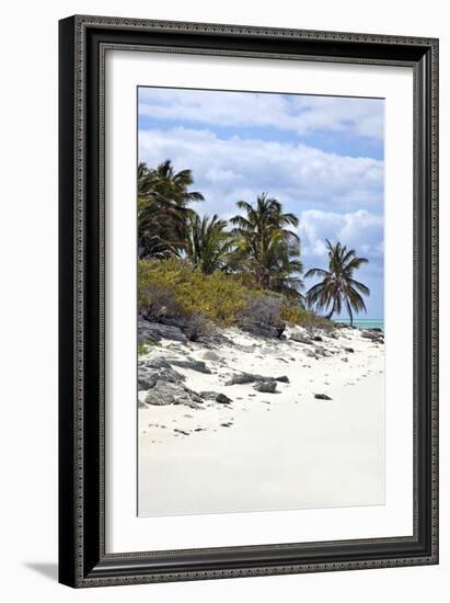 Schooner Cay Coastline-Larry Malvin-Framed Photographic Print